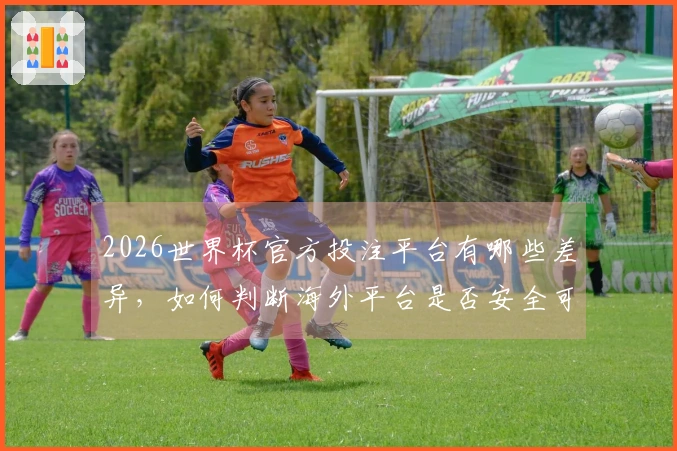 2026世界杯官方投注平台有哪些差异，如何判断海外平台是否安全可靠