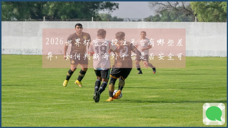 2026世界杯官方投注平台有哪些差异,如何判断海外平台是否安全可靠